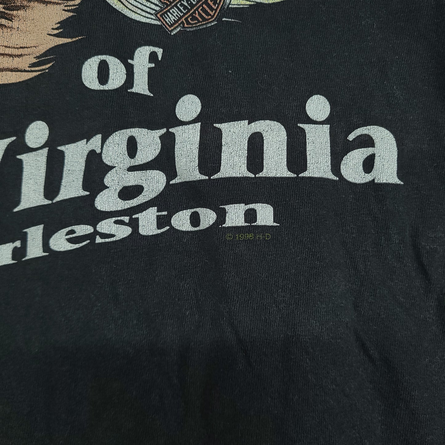 Vintage Harley Davidson Shirt XL Long Sleeve Hog Boar Rare West Virginia 1998
