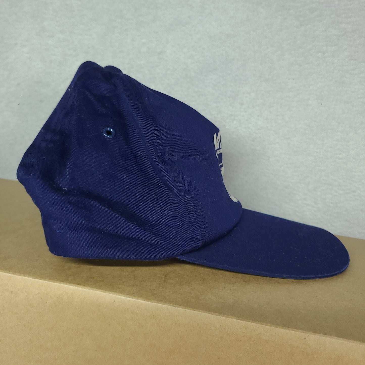 Vintage Geelong Cats Hat Snapback Blue Adult AFL Geelong Football Club Collectors Cap